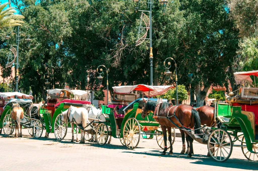 Promenade en calèche à Marrakech : une expérience authentique et romantique